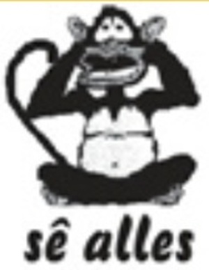 De Wildt Nuus Logo